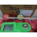 Alta calidad China Venta caliente Fresh Fuji Apple